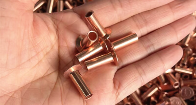 Paku keling tembaga dikirim menyang Eropa